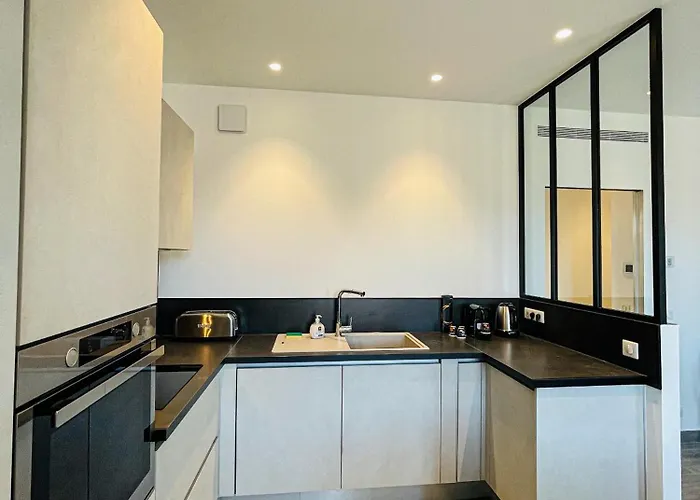 Appartement Cote Sud Deux Proche Croisette *